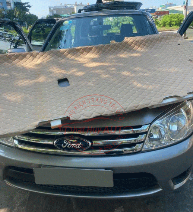 Bọc trần 5D cho xe Ford Escape